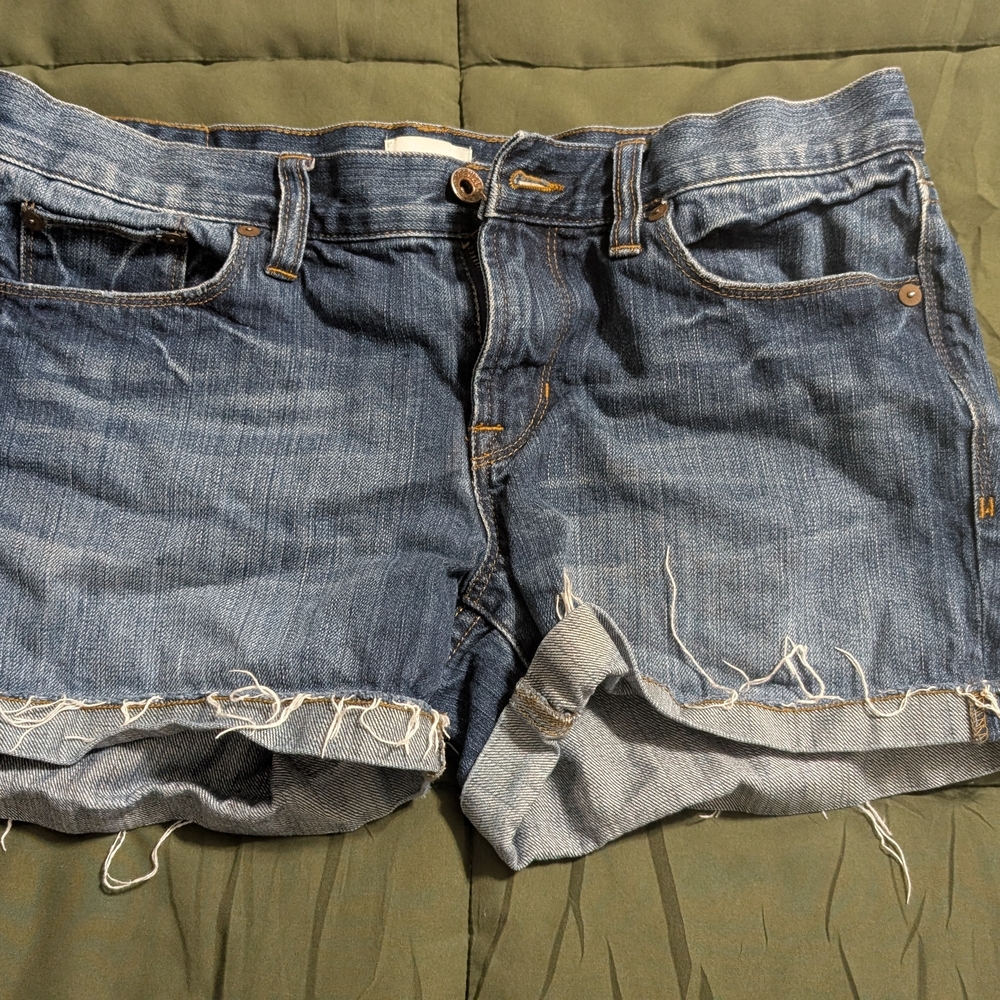 Madewell Blue Jean Shorts Cut-Off Style